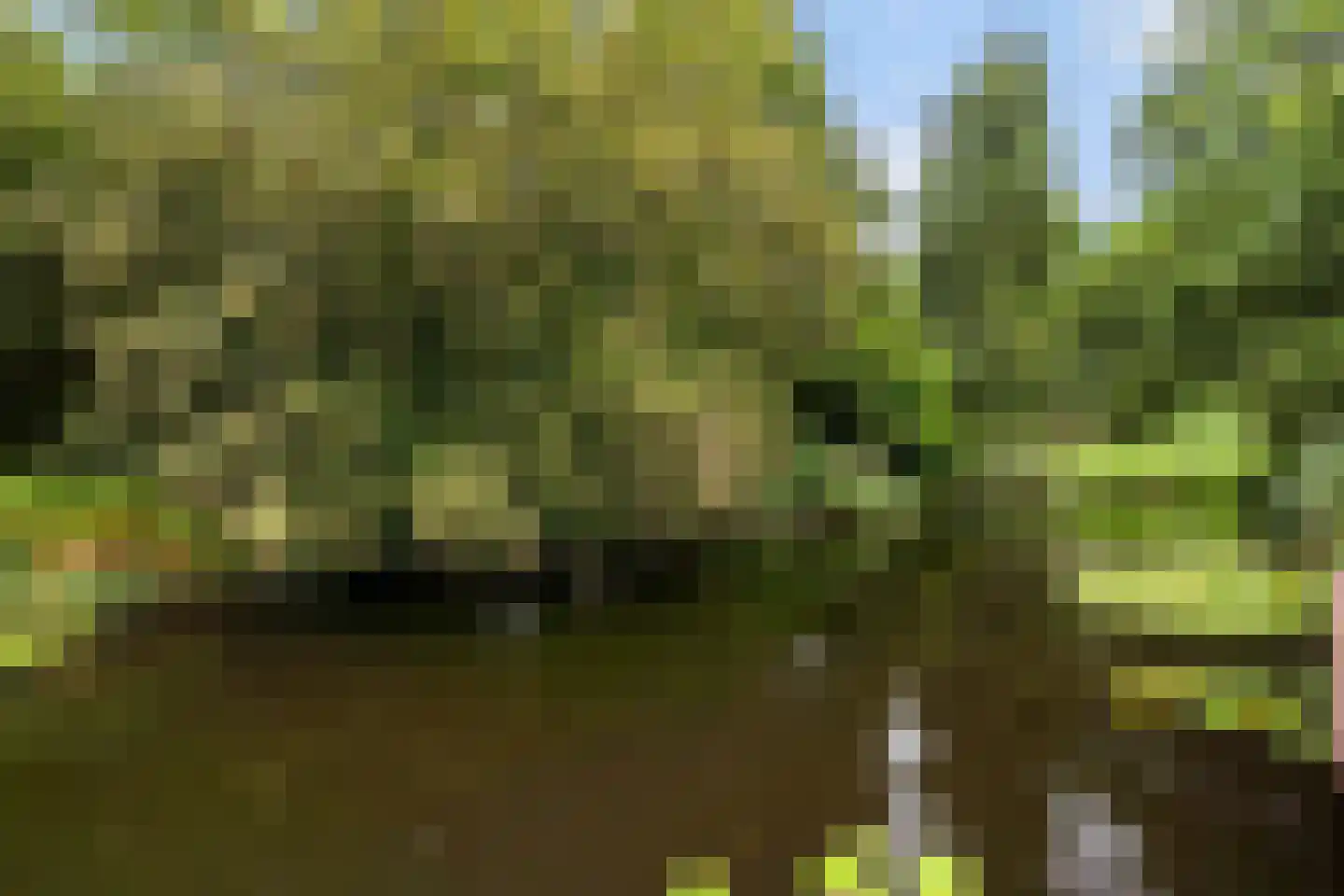 Havixhorst 110 Alphen aan den Rijn thumbnail 43