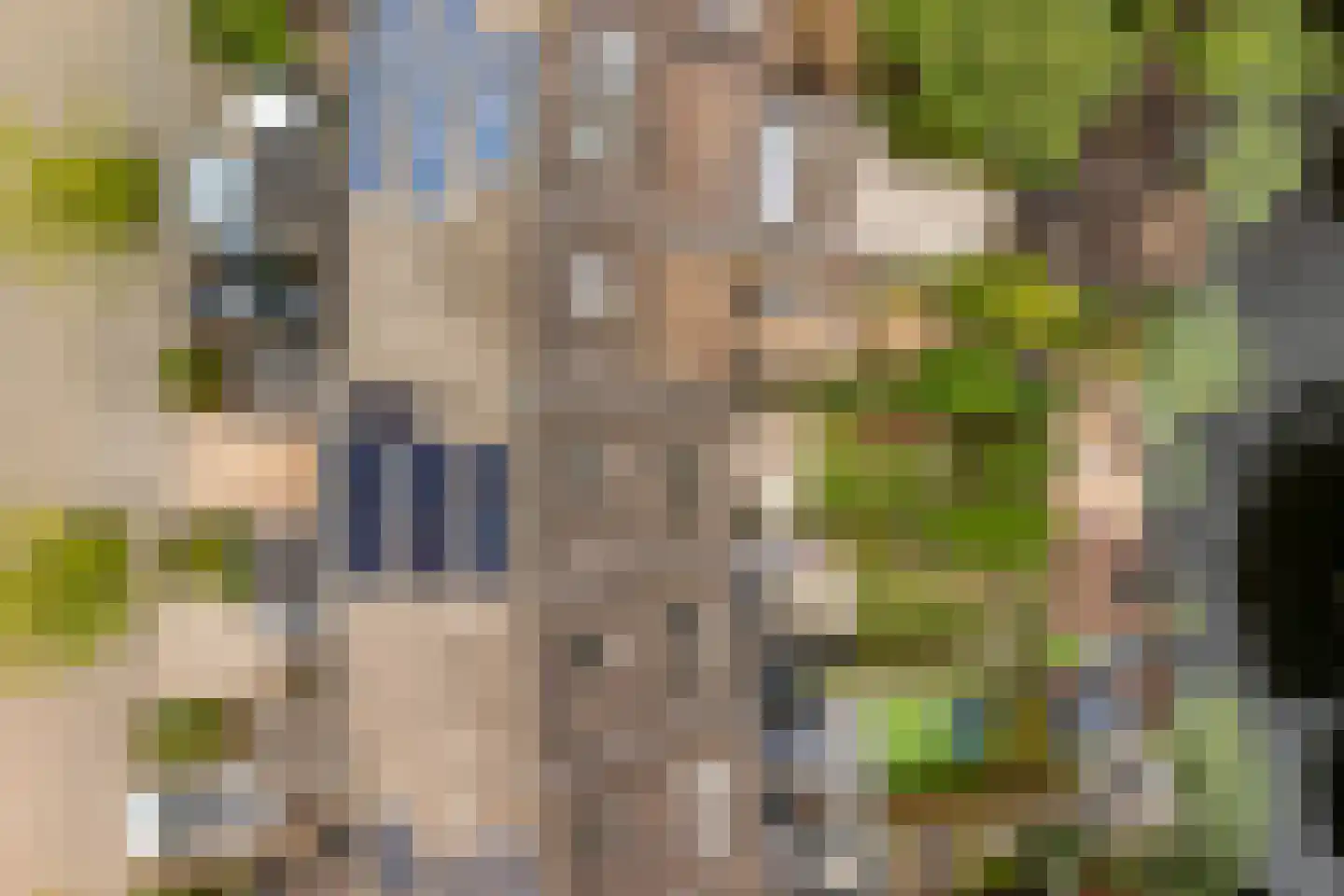 Havixhorst 110 Alphen aan den Rijn thumbnail 44
