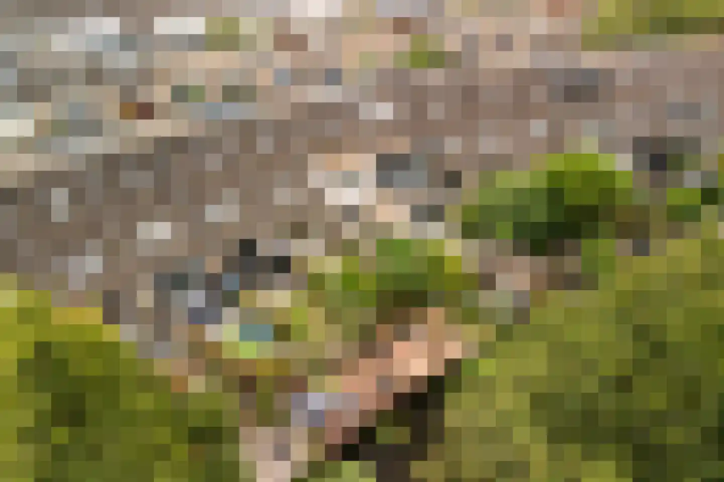 Havixhorst 110 Alphen aan den Rijn thumbnail 6