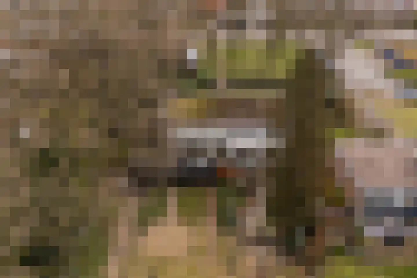 Havixhorst 12 Emmen thumbnail 32