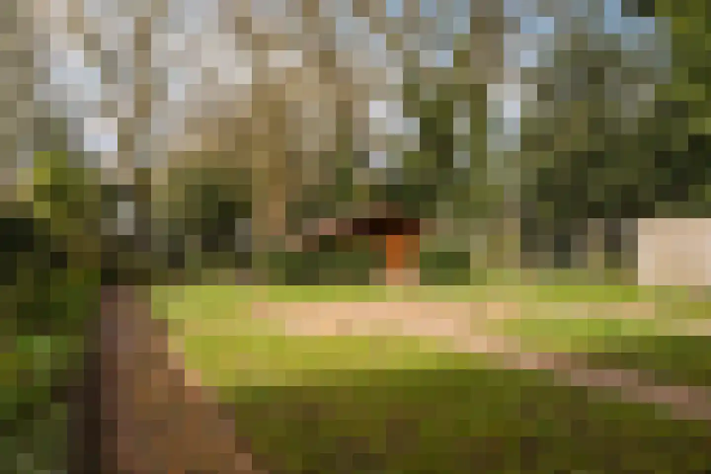 Havixhorst 12 Emmen thumbnail 33