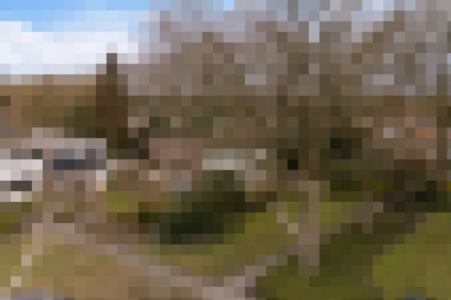 Havixhorst 12 Emmen thumbnail 35