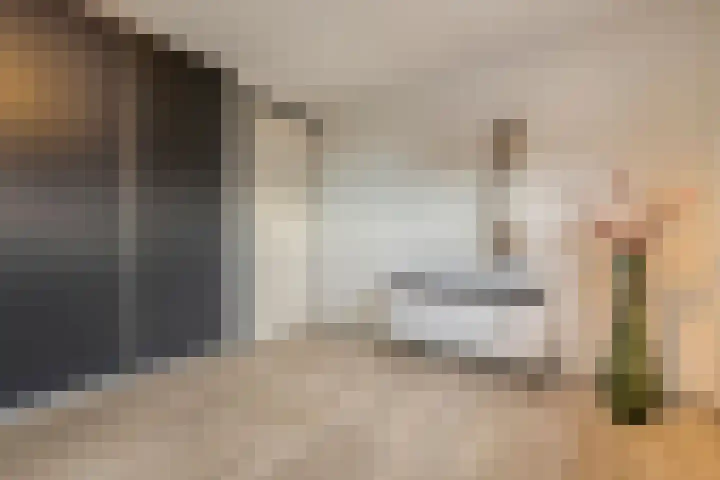 Havixhorst 15 Meppel thumbnail 32
