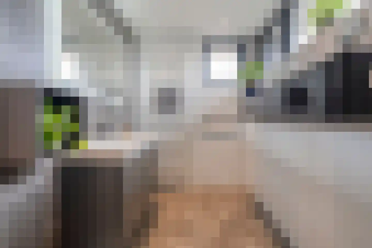 Havixhorst 15 Meppel thumbnail 33