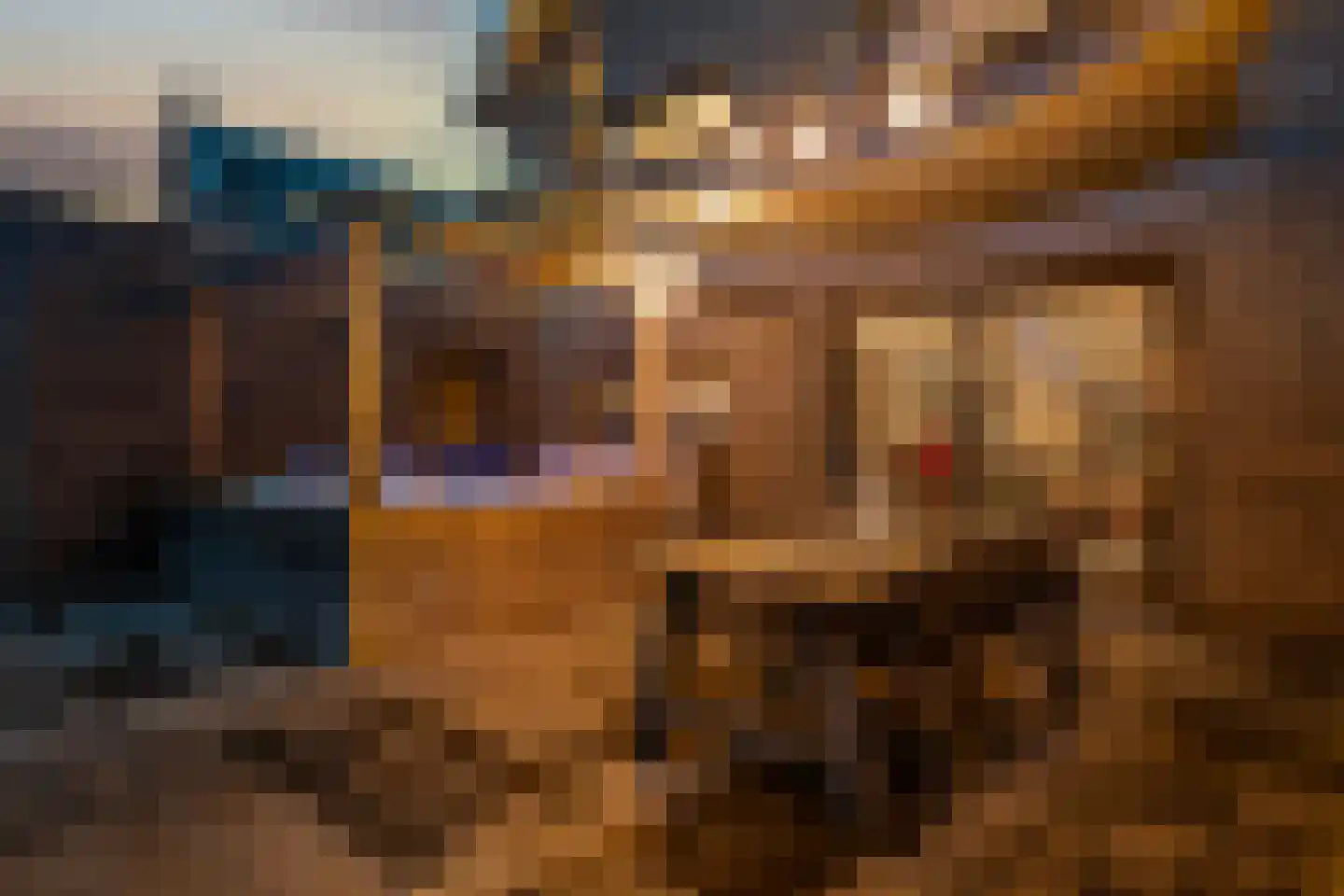 Havixhorst 15 Meppel thumbnail 4