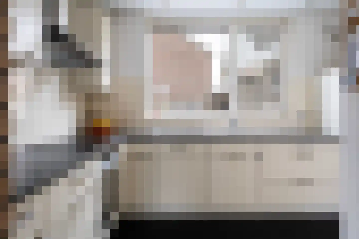Havixhorst 17 Sleen thumbnail 17
