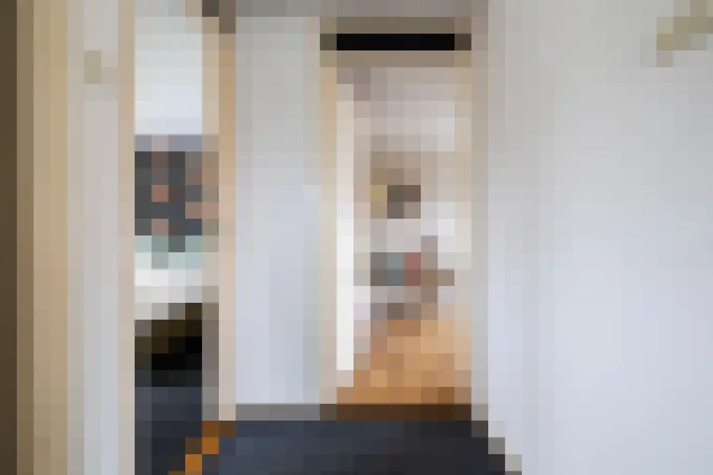Havixhorst 17 Sleen thumbnail 23