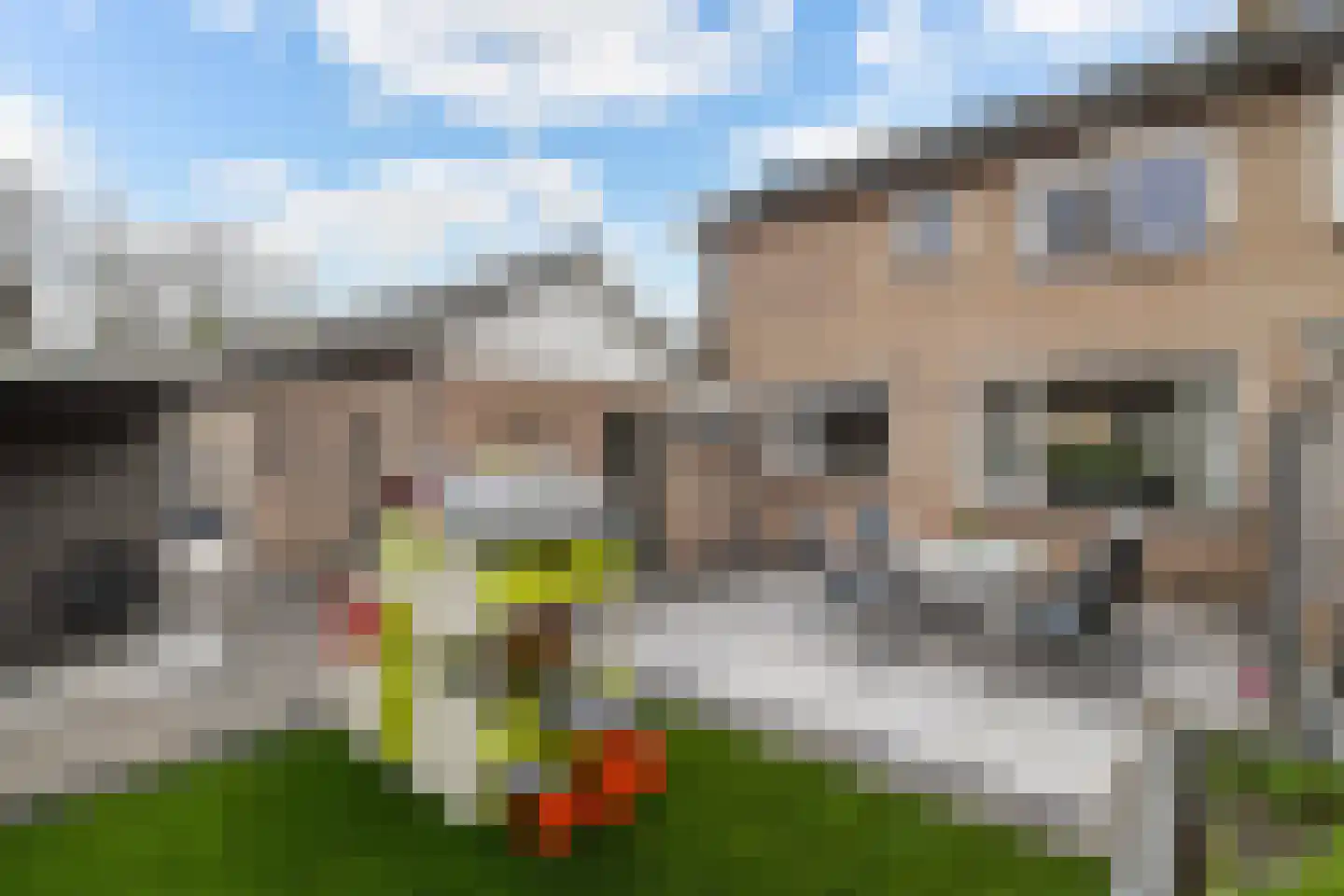 Havixhorst 17 Sleen thumbnail 31