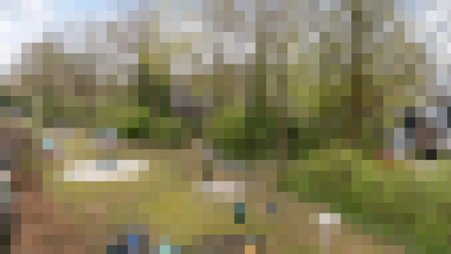 Havixhorst 17 Sleen thumbnail 39