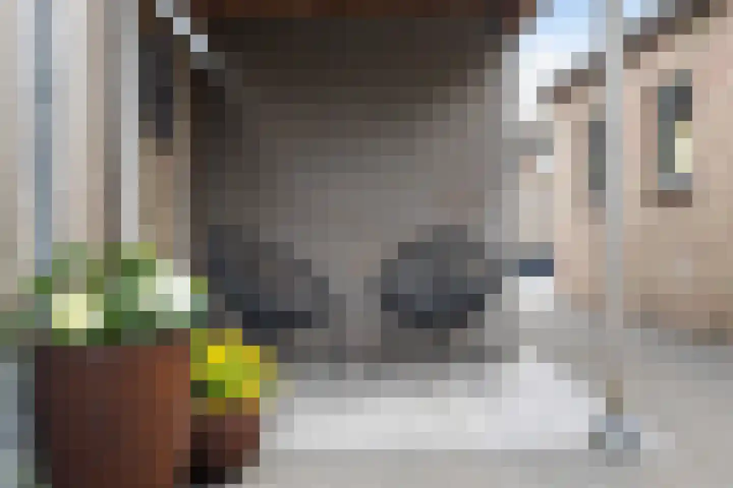 Havixhorst 17 Sleen thumbnail 5