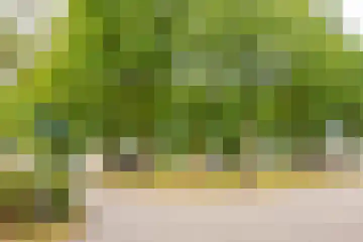 Havixhorst 20 Sleen thumbnail 11