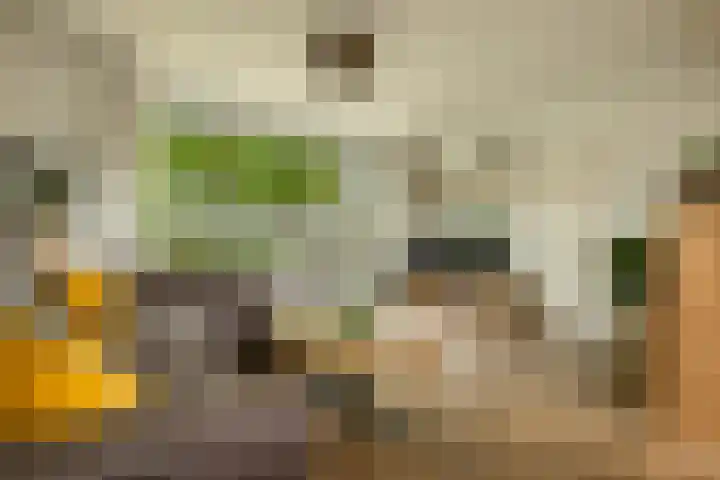 Havixhorst 20 Sleen thumbnail 16