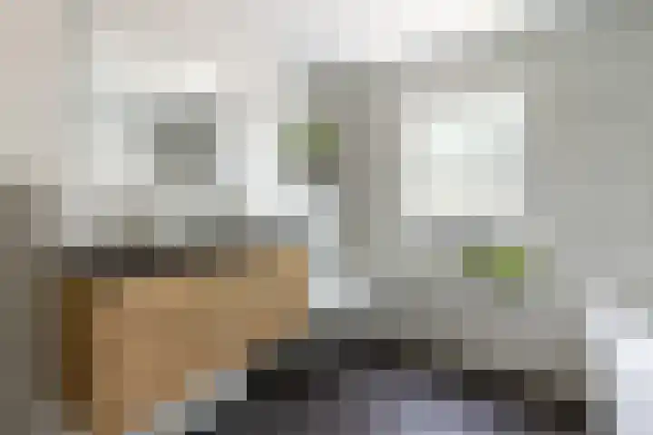 Havixhorst 20 Sleen thumbnail 28