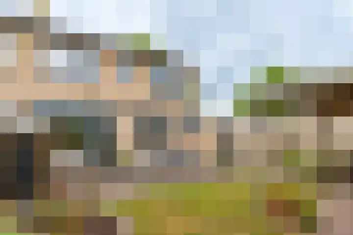 Havixhorst 20 Sleen thumbnail 30