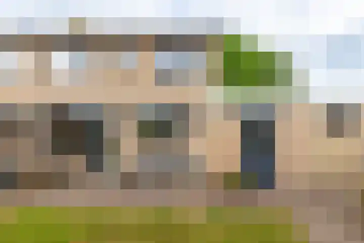Havixhorst 20 Sleen thumbnail 31