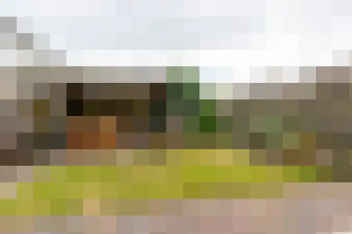 Havixhorst 20 Sleen thumbnail 33