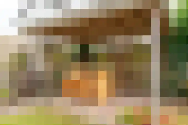 Havixhorst 20 Sleen thumbnail 34