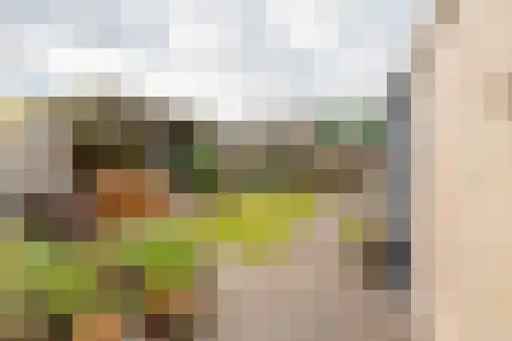 Havixhorst 20 Sleen thumbnail 35