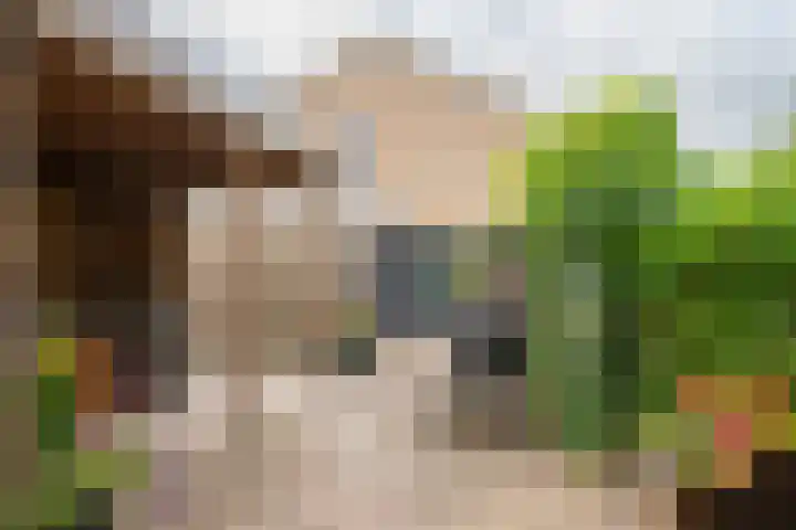Havixhorst 20 Sleen thumbnail 36