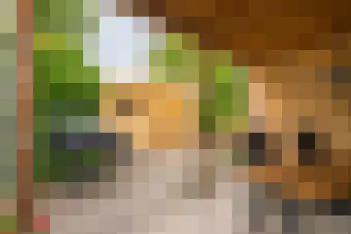 Havixhorst 20 Sleen thumbnail 37