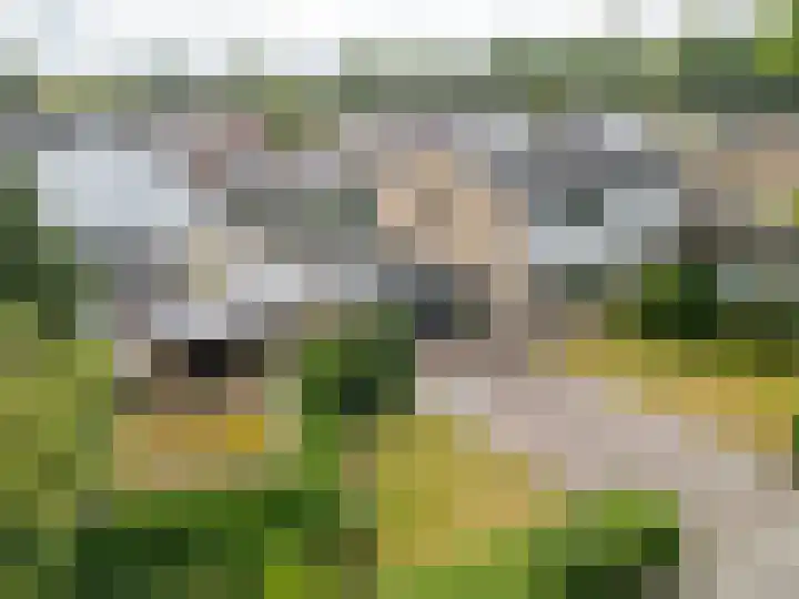 Havixhorst 20 Sleen thumbnail 39