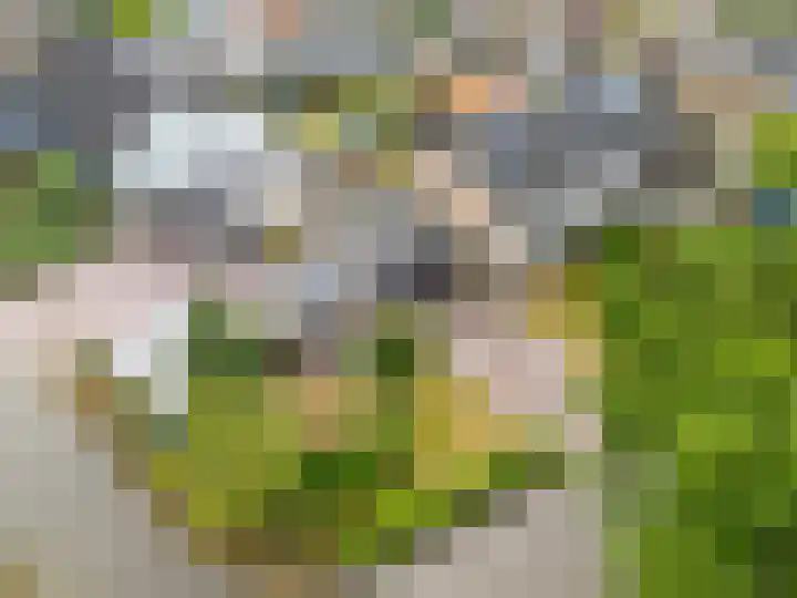 Havixhorst 20 Sleen thumbnail 40