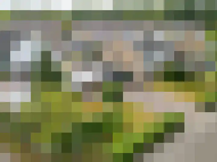 Havixhorst 20 Sleen thumbnail 41