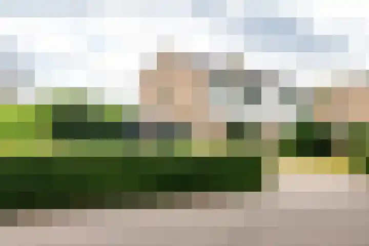 Havixhorst 20 Sleen thumbnail 8