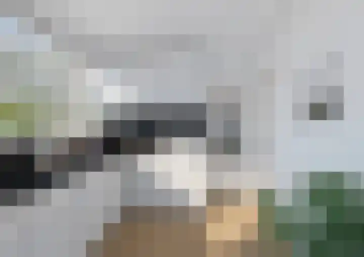 Havixhorst 26 Emmen thumbnail 16