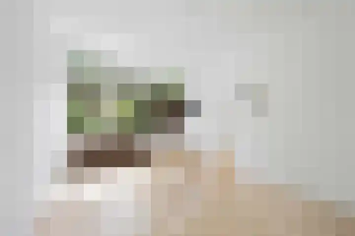 Havixhorst 26 Emmen thumbnail 20