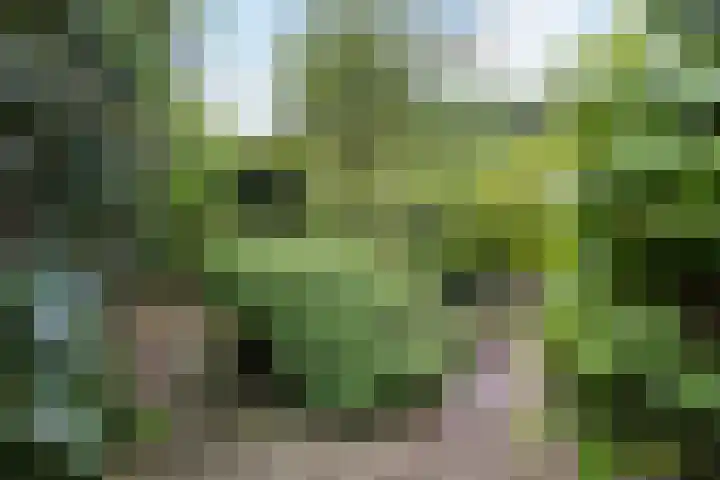 Havixhorst 26 Emmen thumbnail 35