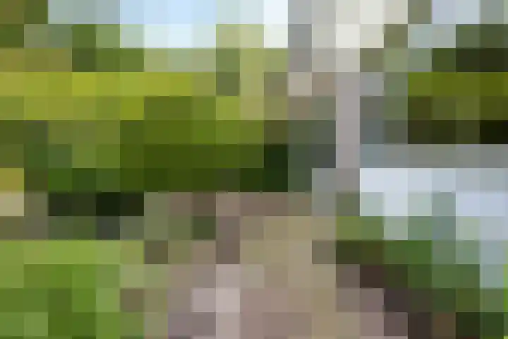 Havixhorst 26 Emmen thumbnail 36