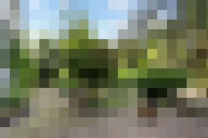 Havixhorst 26 Emmen thumbnail 37