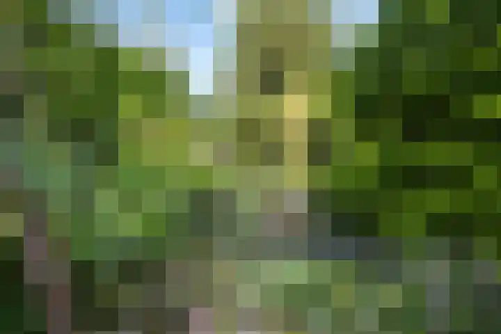 Havixhorst 26 Emmen thumbnail 38