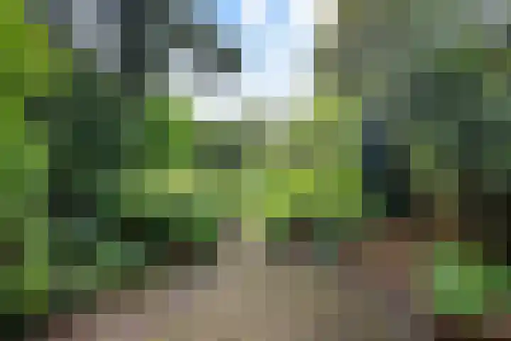 Havixhorst 26 Emmen thumbnail 39