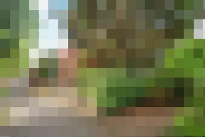Havixhorst 26 Emmen thumbnail 42