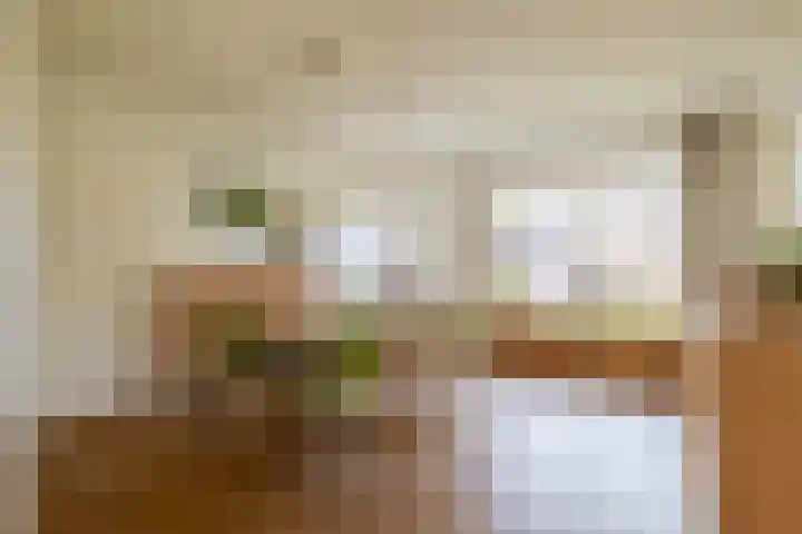 Havixhorst 67 Zuidlaren thumbnail 11