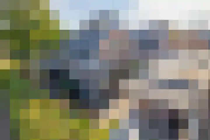 Havixhorst 67 Zuidlaren thumbnail 23