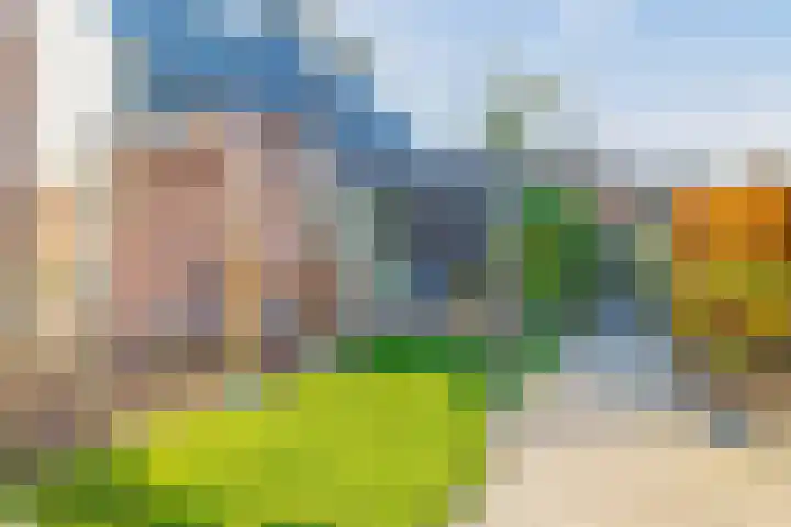 Havixhorst 67 Zuidlaren thumbnail 24