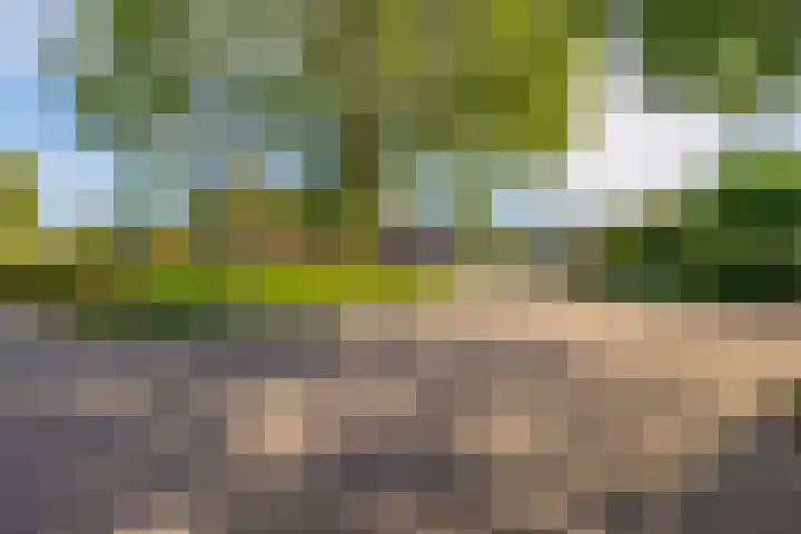 Havixhorst 67 Zuidlaren thumbnail 27