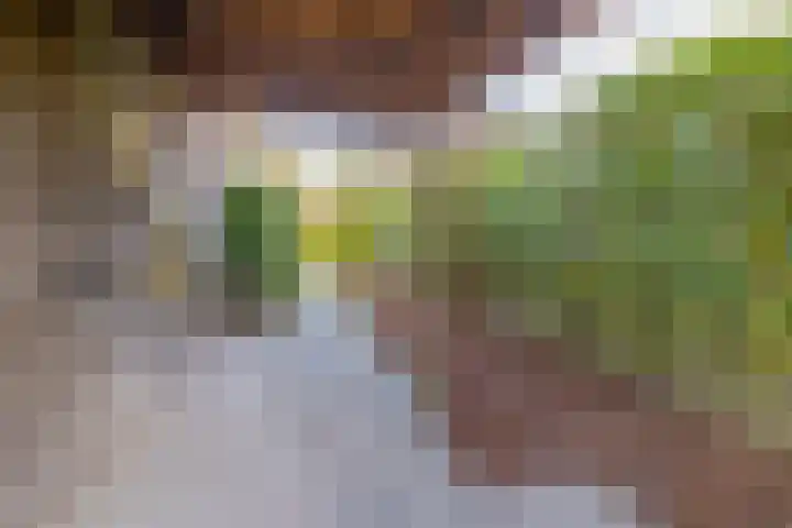 Havixhorst 67 Zuidlaren thumbnail 28