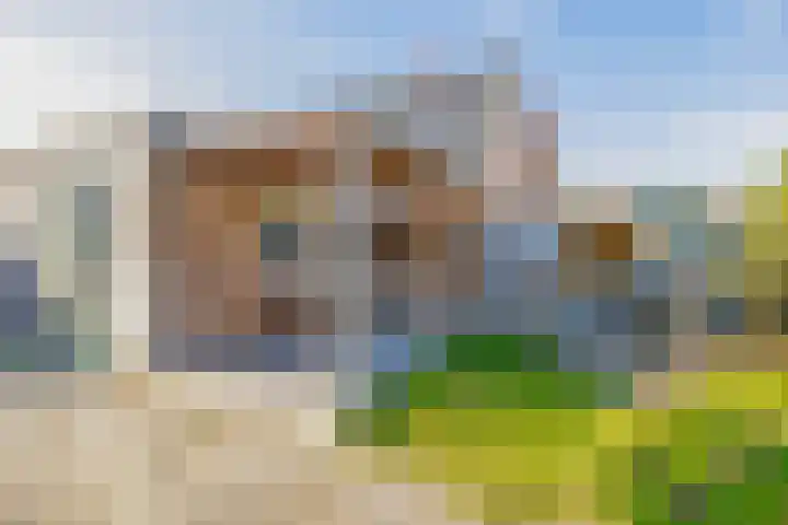 Havixhorst 67 Zuidlaren thumbnail 29