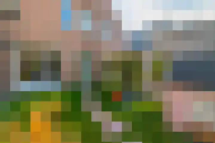 Havixhorst 67 Zuidlaren thumbnail 31
