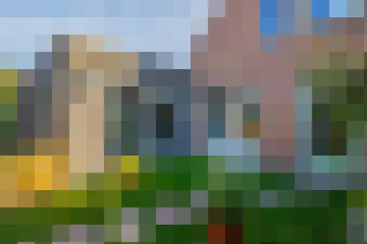 Havixhorst 67 Zuidlaren thumbnail 33