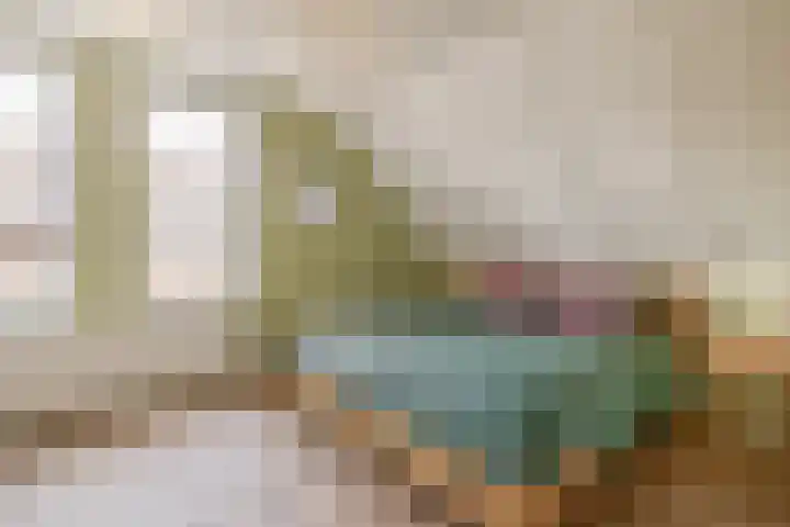 Havixhorst 67 Zuidlaren thumbnail 35