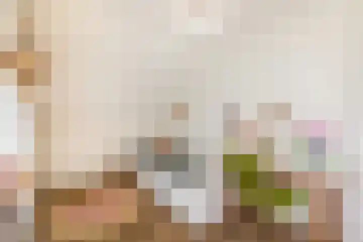 Havixhorst 67 Zuidlaren thumbnail 38