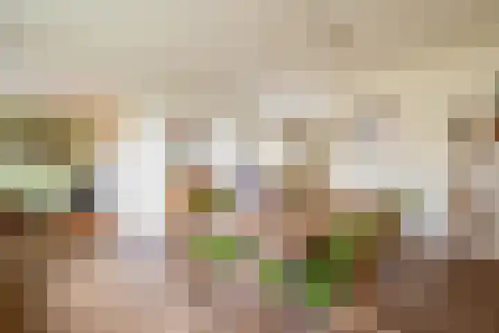 Havixhorst 67 Zuidlaren thumbnail 4