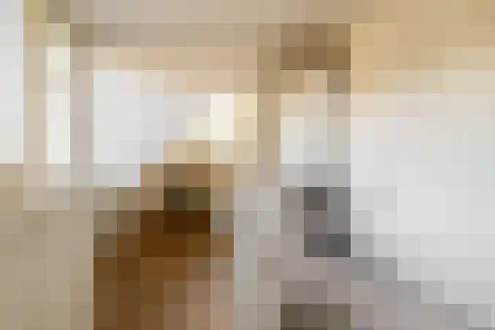 Havixhorst 67 Zuidlaren thumbnail 43