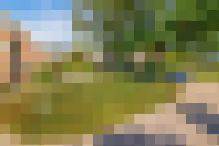Havixhorst 67 Zuidlaren thumbnail 48