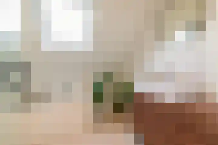 Havixhorst 67 Zuidlaren thumbnail 5
